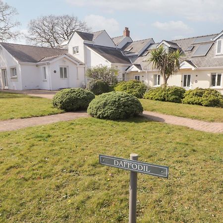 Daffodil Apartment Tenby Eksteriør billede