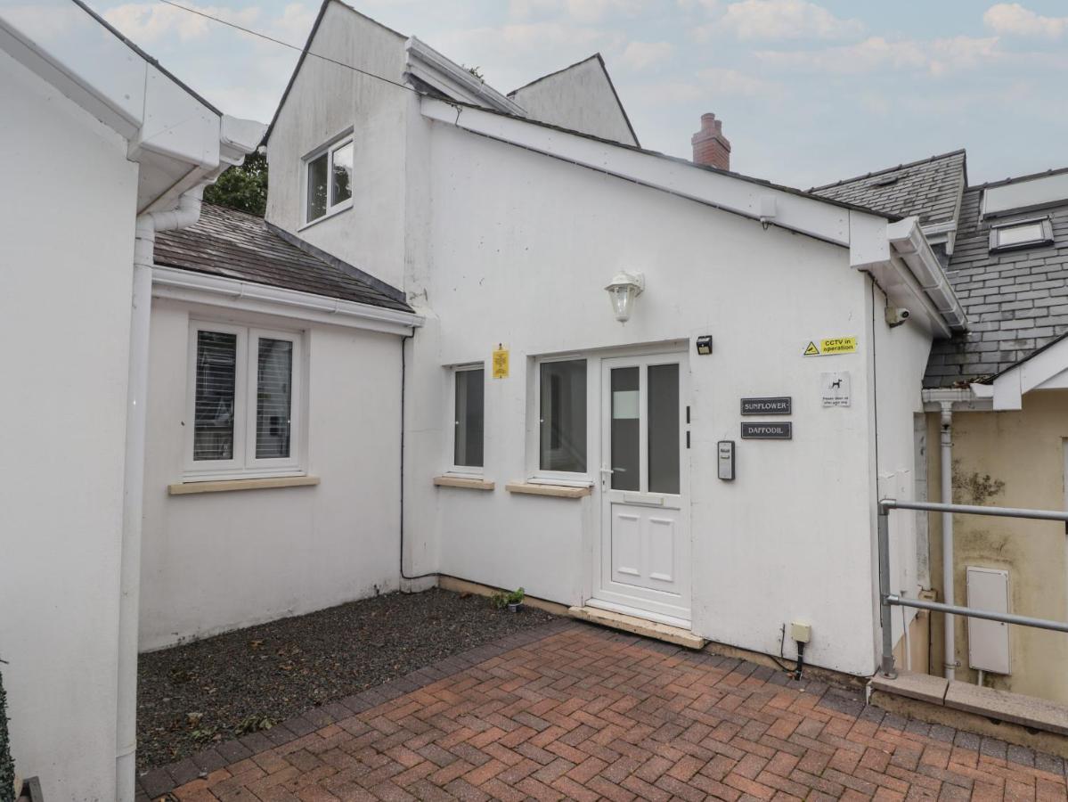 Daffodil Apartment Tenby Eksteriør billede
