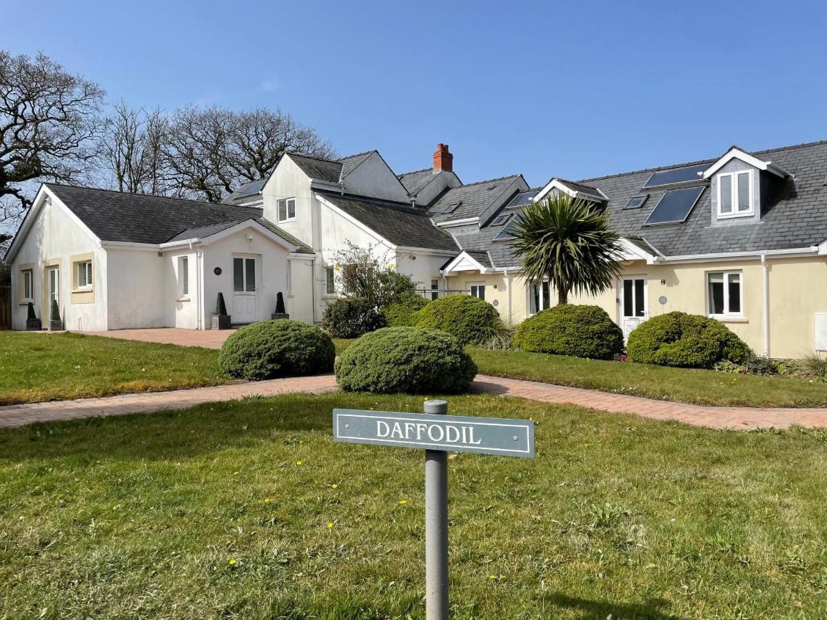 Daffodil Apartment Tenby Eksteriør billede