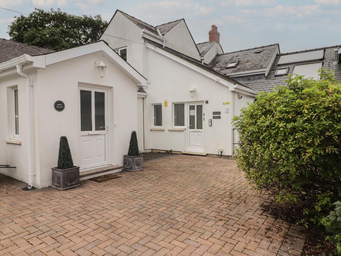 Daffodil Apartment Tenby Eksteriør billede