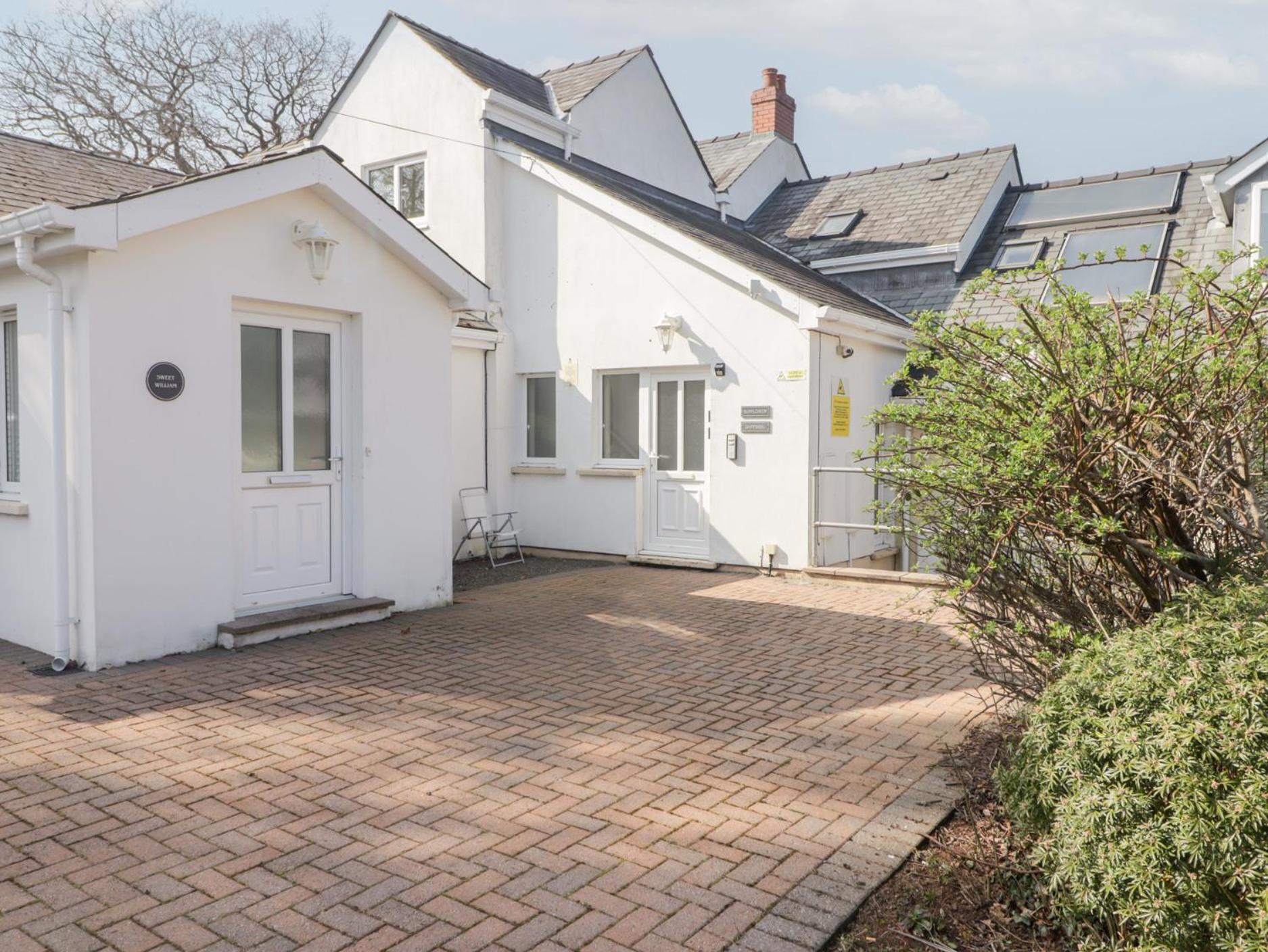 Daffodil Apartment Tenby Eksteriør billede