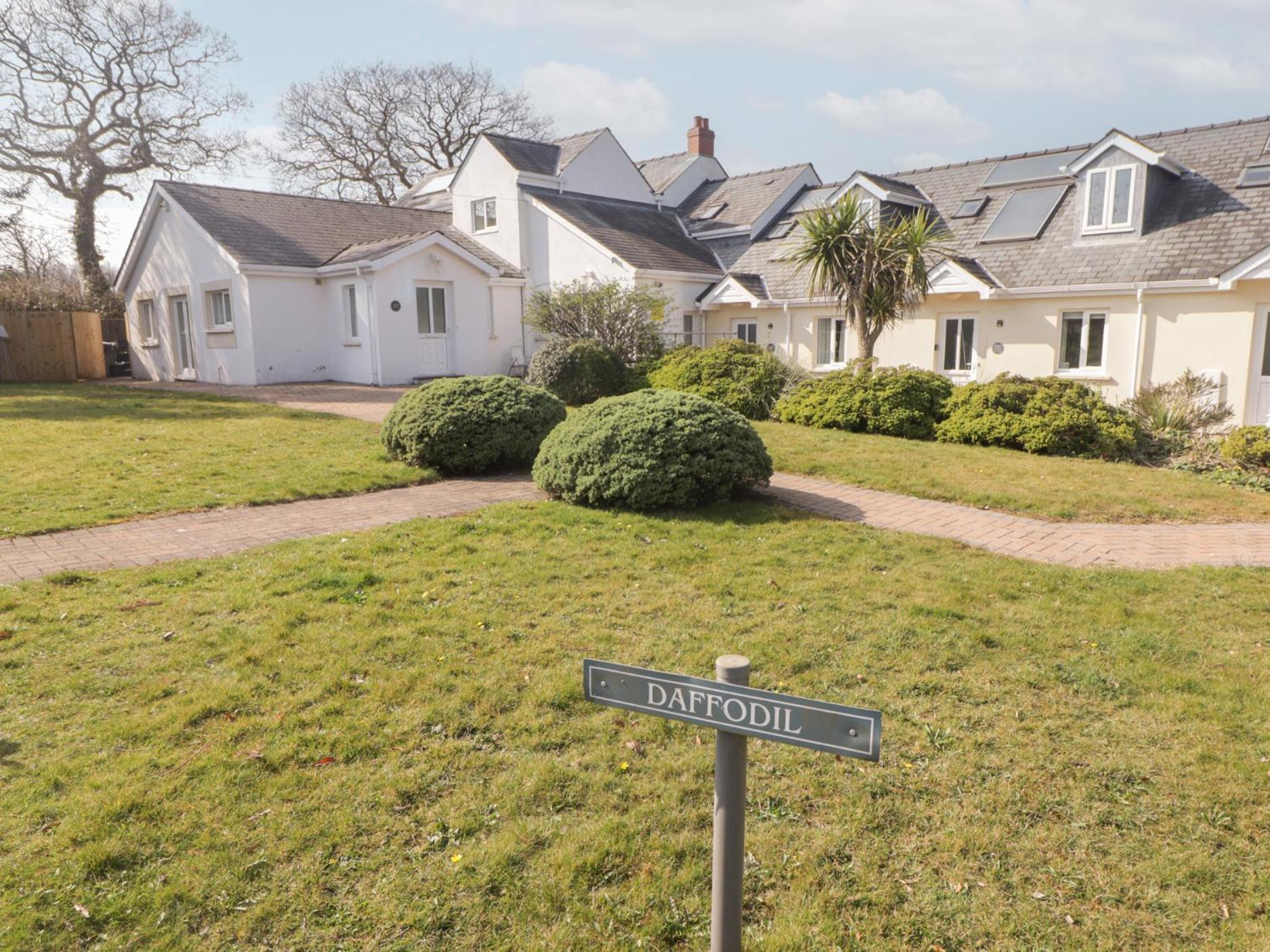 Daffodil Apartment Tenby Eksteriør billede
